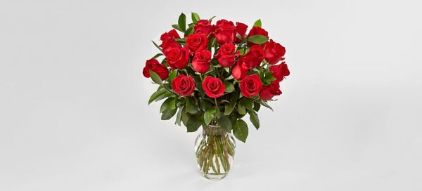 Red roses Vase