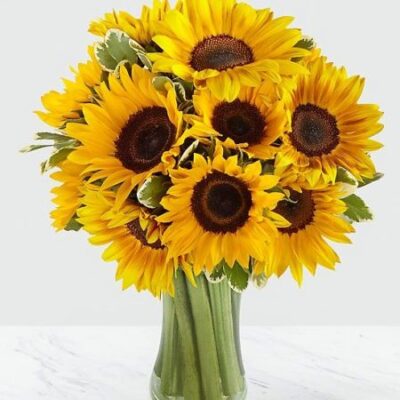 Sunflower In Vase