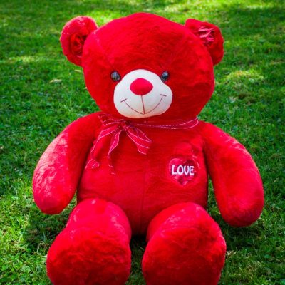 Giant Teddy Bear Meru