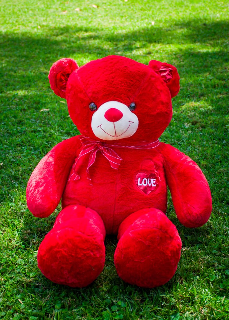 Giant Teddy Bear Meru Giant Teddy Bear Meru